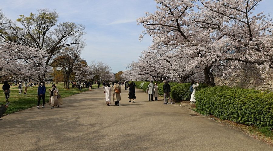 🏯 오사카 성 이미지 6